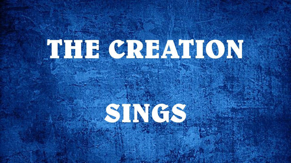 The Creation Sings