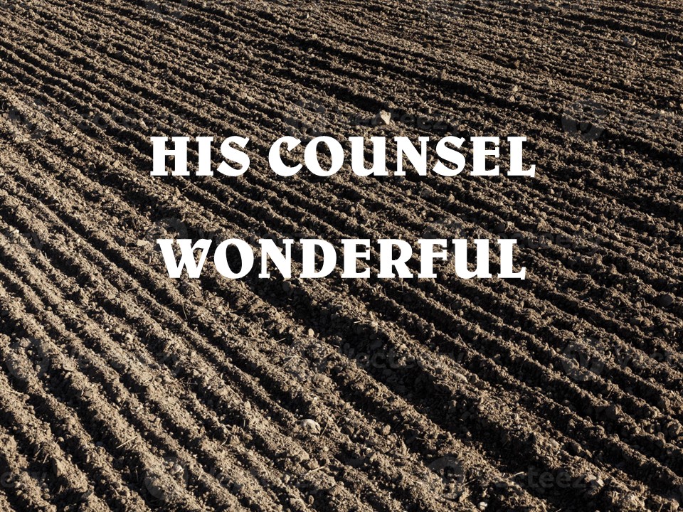 His Counsel Wonderful