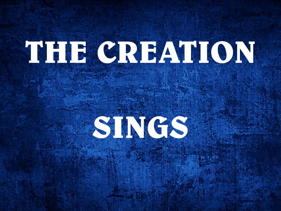 The Creation Sings